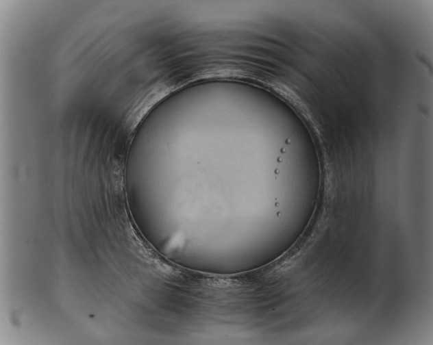 X0000101660945200807241414