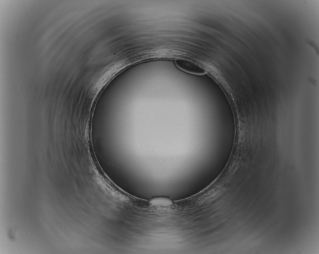 X0000101660946200807241414