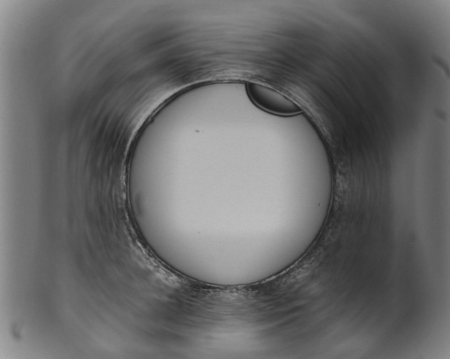 X0000101660948200807241414