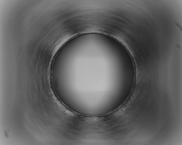 X0000101660949200807241414