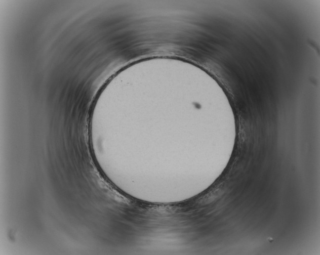 X0000101660950200807241414