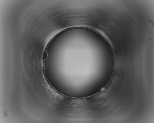 X0000101660951200807241414