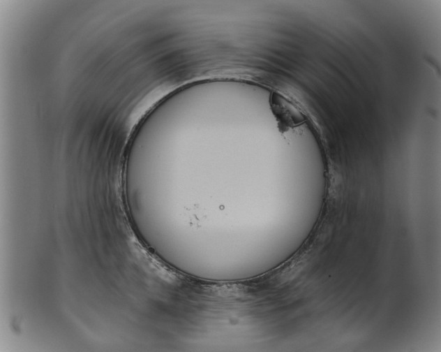 X0000101660952200807241414