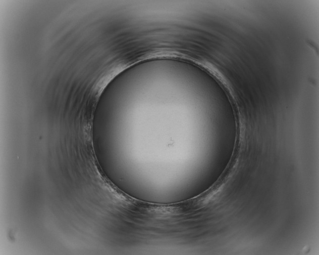 X0000101660953200807241414