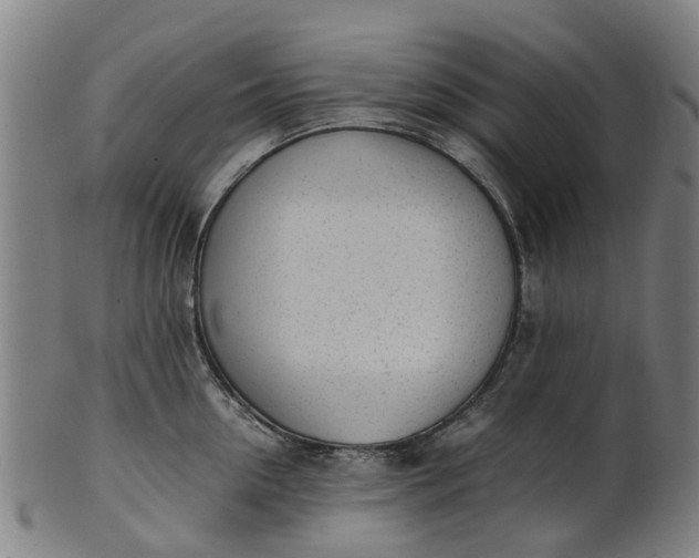 X0000101660954200807241414