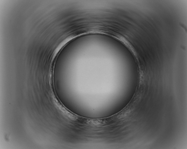 X0000101660955200807241414