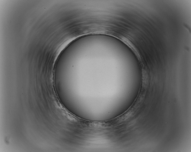 X0000101660956200807241414