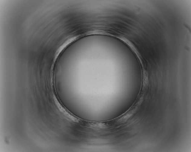 X0000101660957200807241414