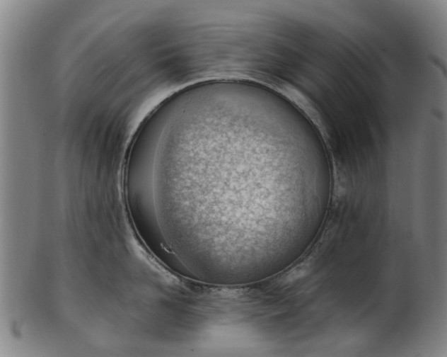 X0000101660958200807241414