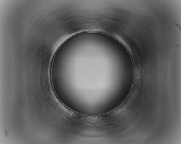 X0000101660959200807241414