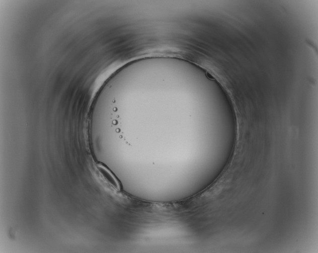 X0000101660960200807241414