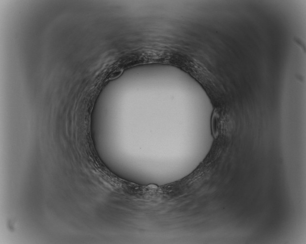 X0000101660961200807241414