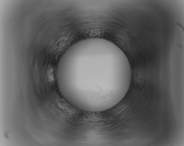 X0000101660962200807241414