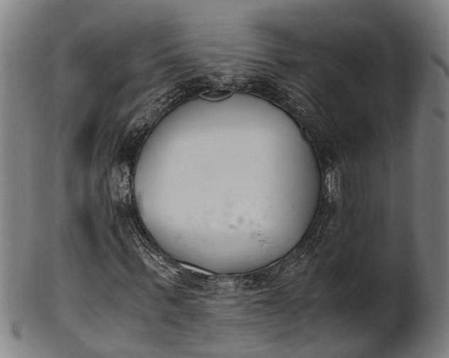 X0000101660963200807241414