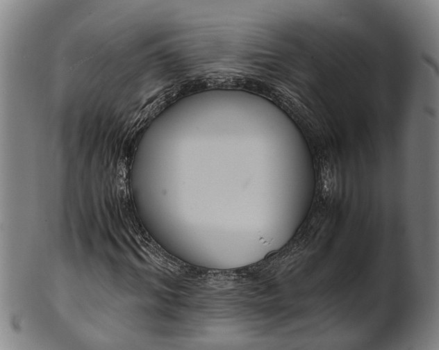 X0000101660964200807241414