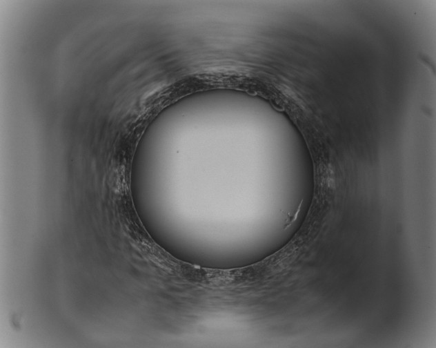 X0000101660965200807241414