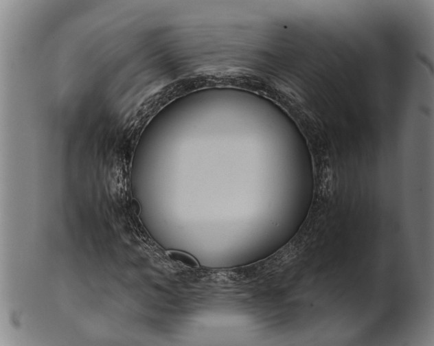 X0000101660966200807241414