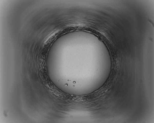 X0000101660967200807241414