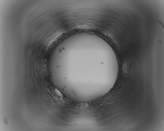 X0000101660968200807241414