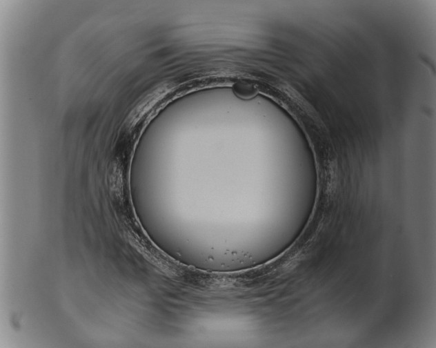 X0000101660969200807241414