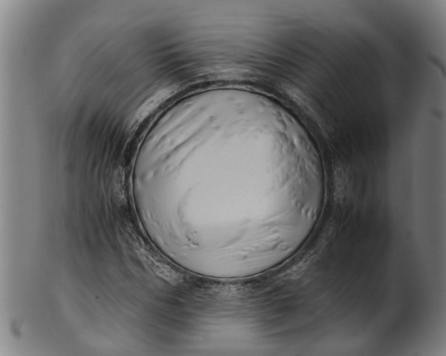 X0000101660970200807241414