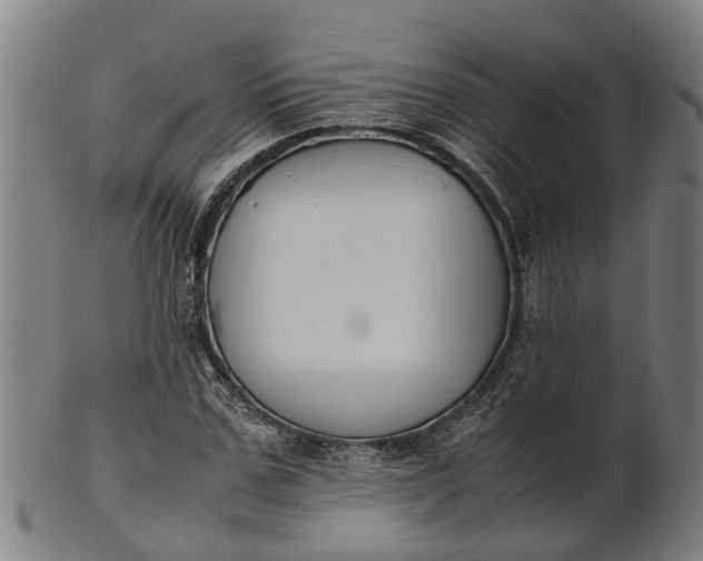 X0000101660971200807241414