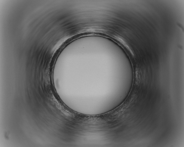 X0000101660972200807241414