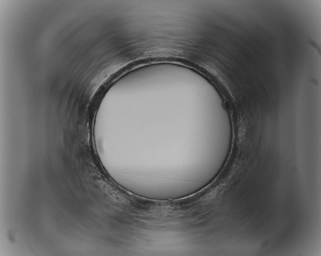 X0000101660973200807241414