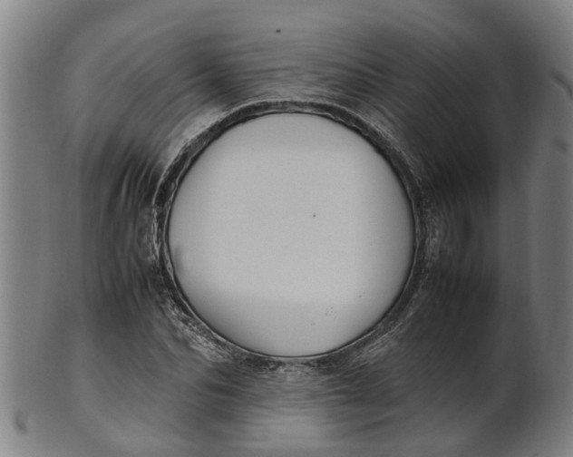 X0000101660974200807241414