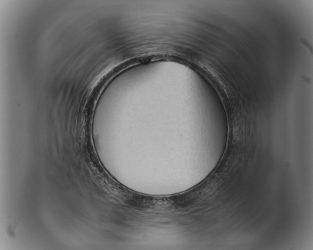 X0000101660975200807241414