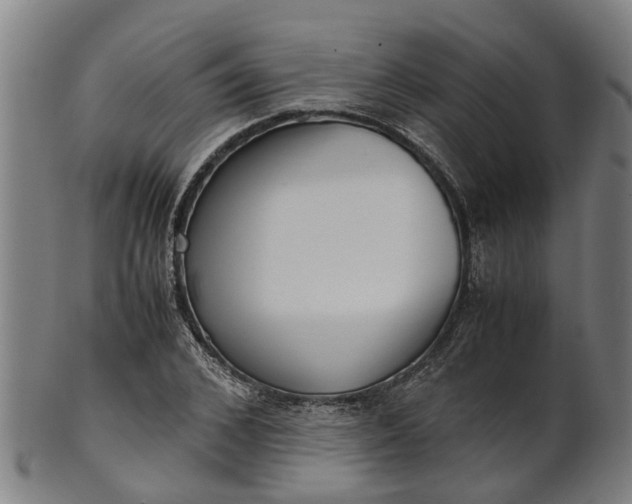 X0000101660976200807241414