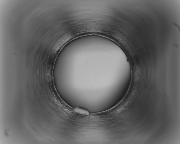 X0000101660977200807241414