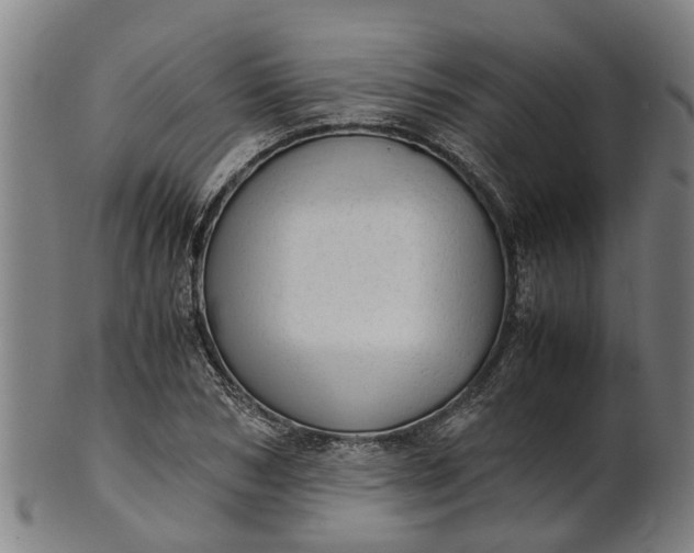 X0000101660978200807241414