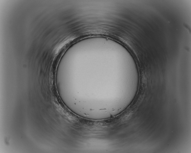 X0000101660979200807241414