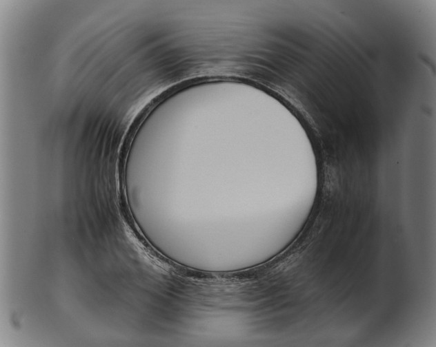 X0000101660980200807241414