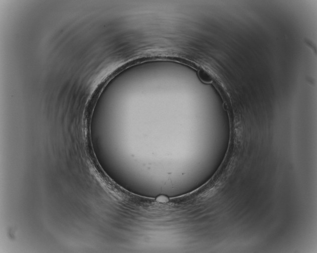 X0000101660981200807241414