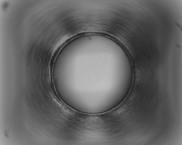 X0000101660982200807241414