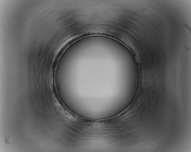 X0000101660984200807241414