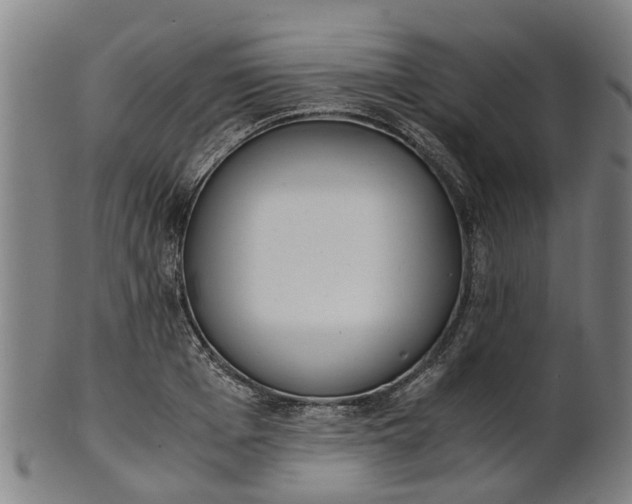 X0000101660985200807241413