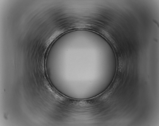 X0000101660986200807241413