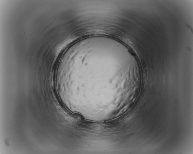 X0000101660987200807241413