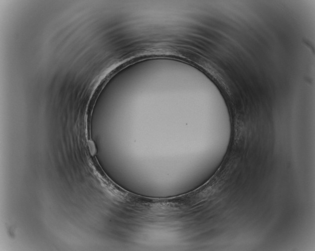 X0000101660988200807241413