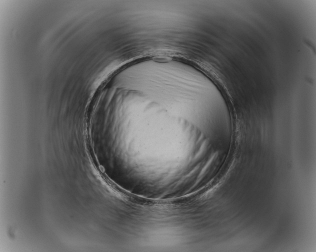 X0000101660989200807241413