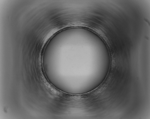 X0000101660990200807241413