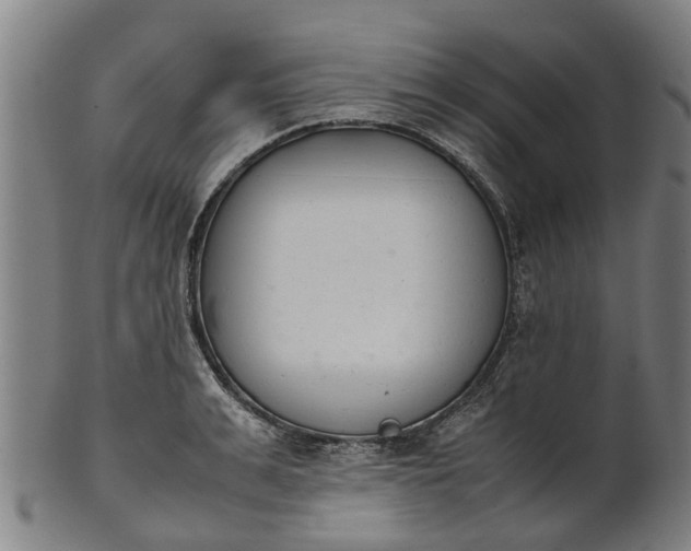 X0000101660991200807241413