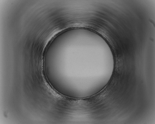 X0000101660992200807241413