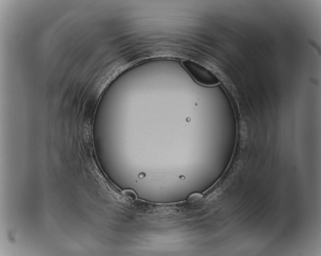 X0000101660993200807241413