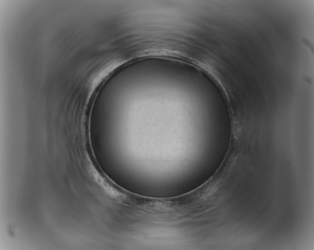 X0000101660995200807241413