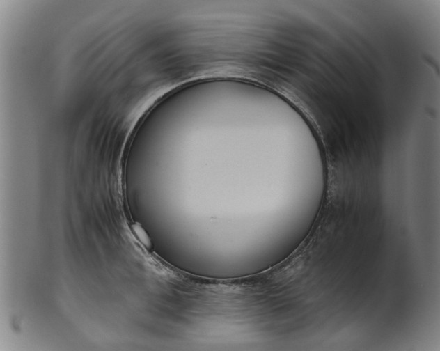 X0000101660996200807241413