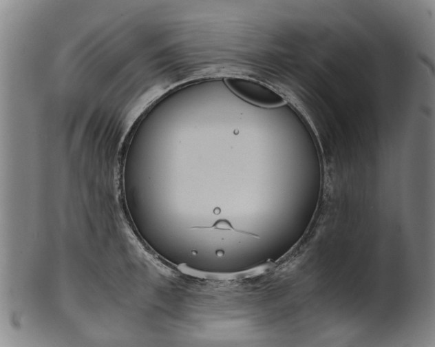 X0000101660997200807241413